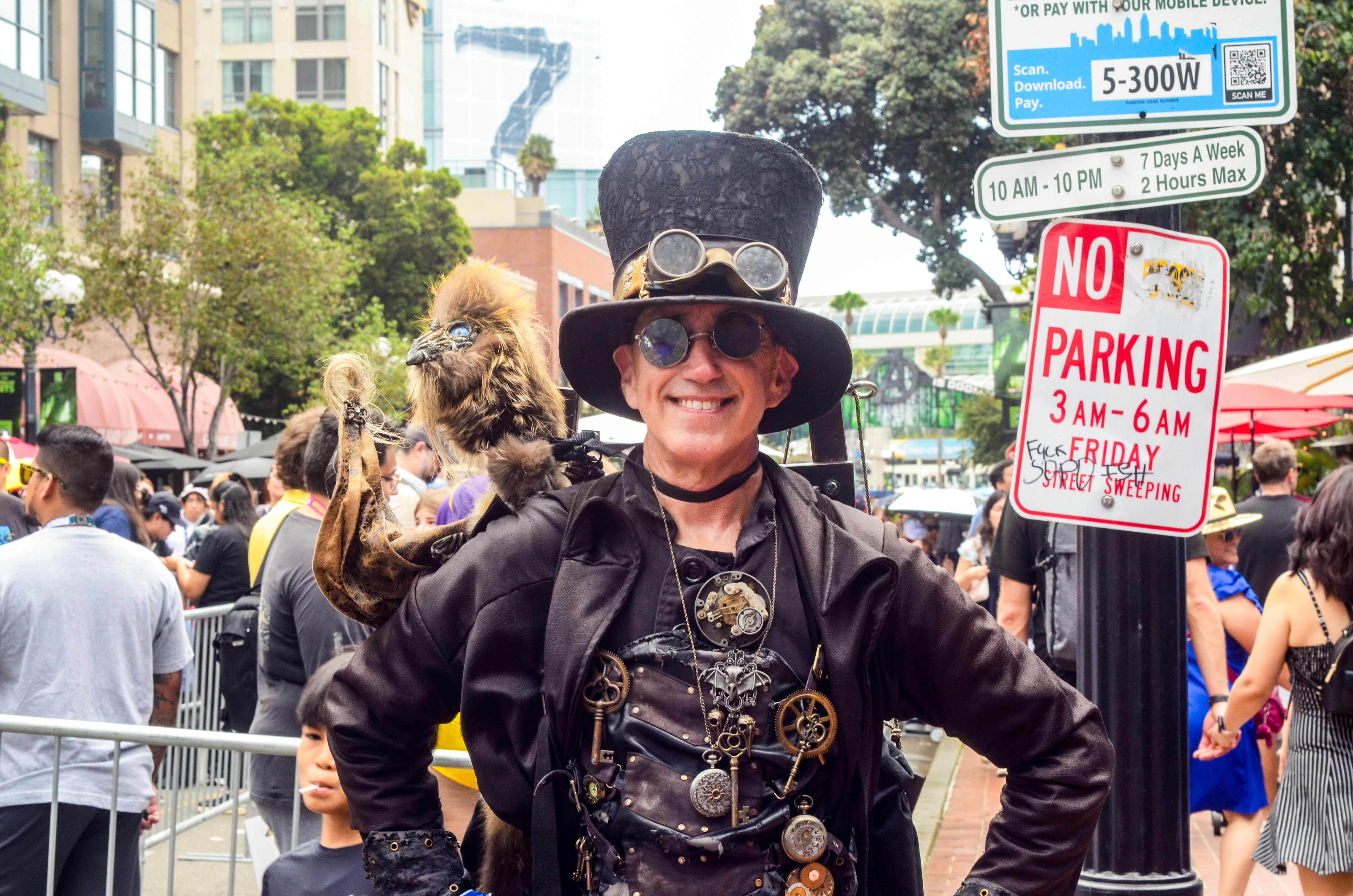 Comic-Con Attendee