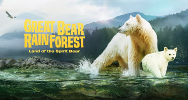 Great Bear Rainforest