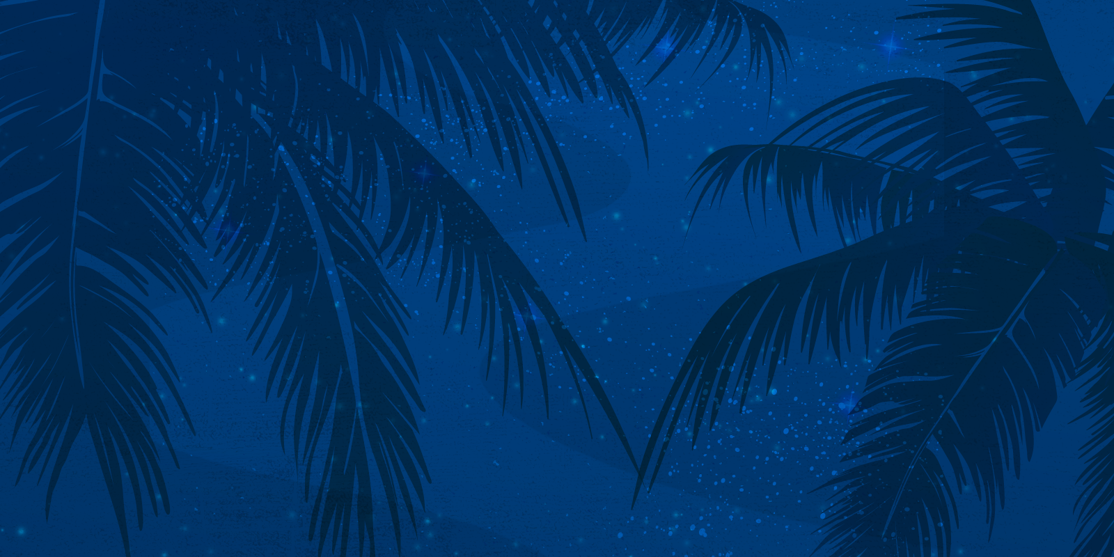 A blue background with shimmering stars and shadows of palm fronds