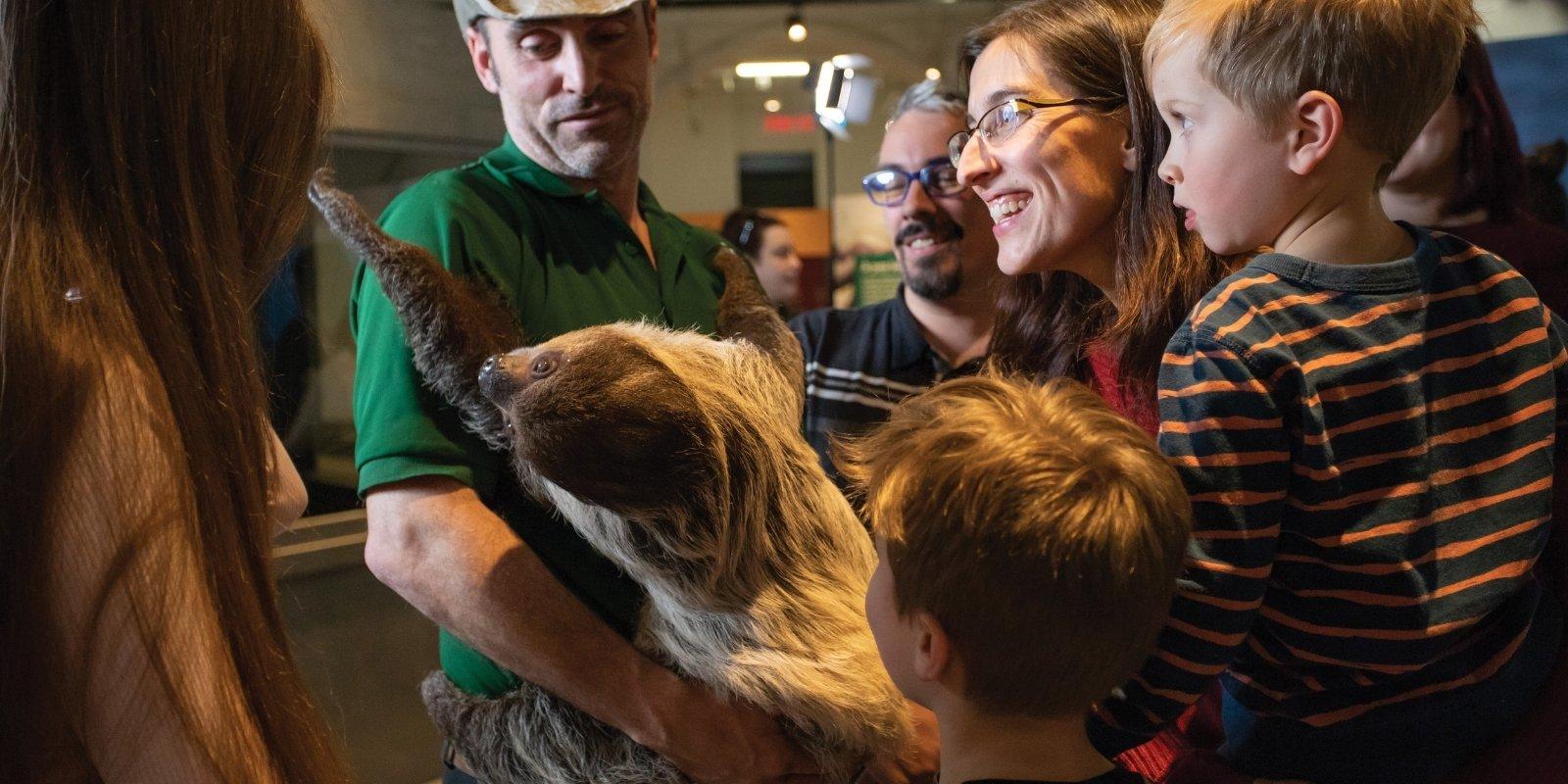 Group of museum patrons watching an animal expert interact with a sloth