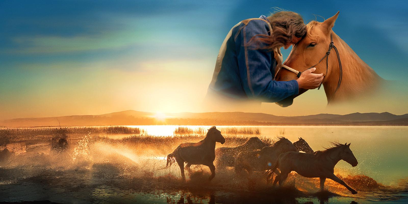 Horses galloping towards the right and a man embracing a horse.