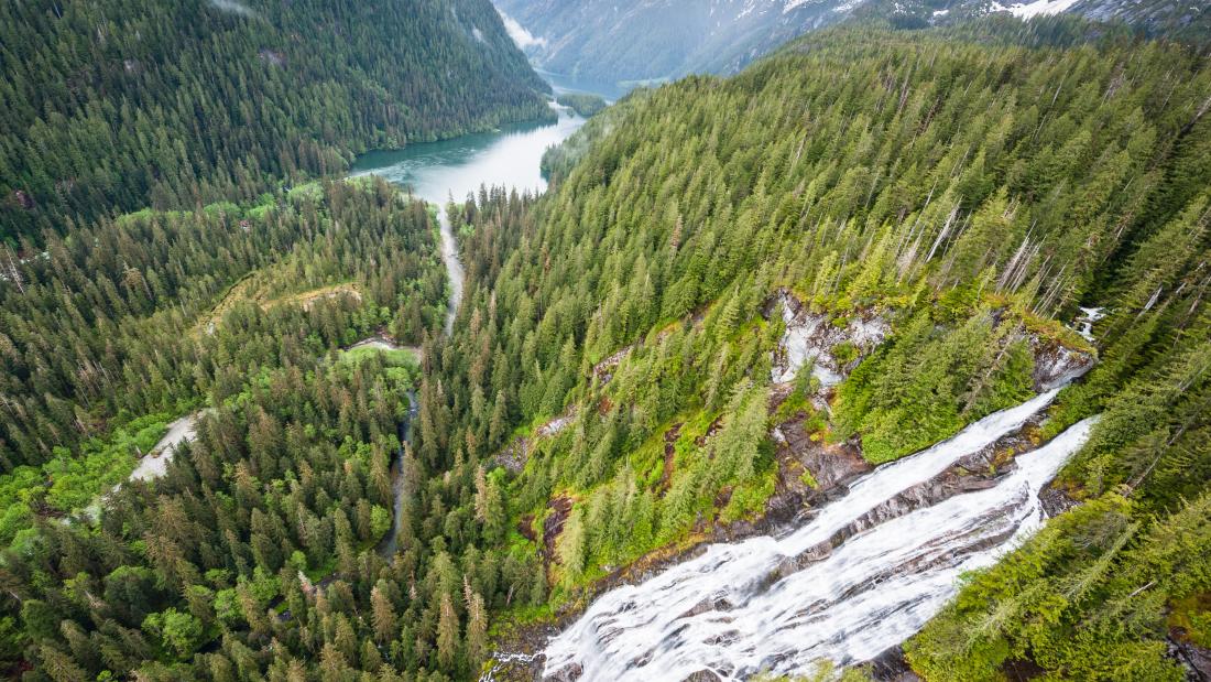 Great Bear Rainforest