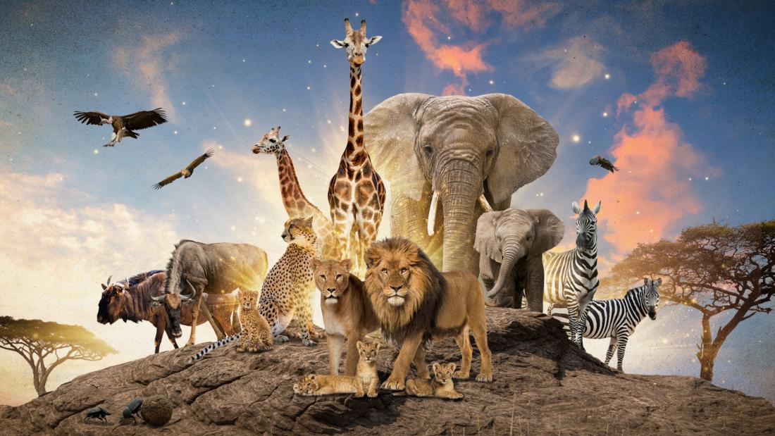 A composite image of Serengeti animals standing on a rock in front of a deep blue sky. The animals from front to back left to right are a lioness lion and cub, water buffalo, giraffes, elephants, zebras, and vultures in the sky.