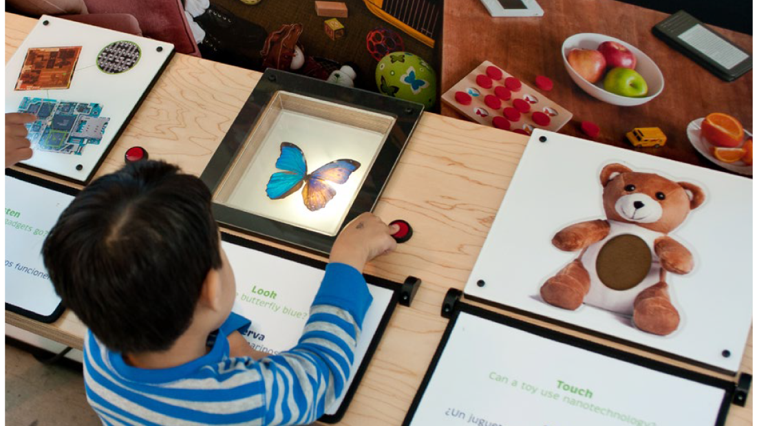 An overhead view of a young boy interacting with a table display of a butterfly and a teddy bear.