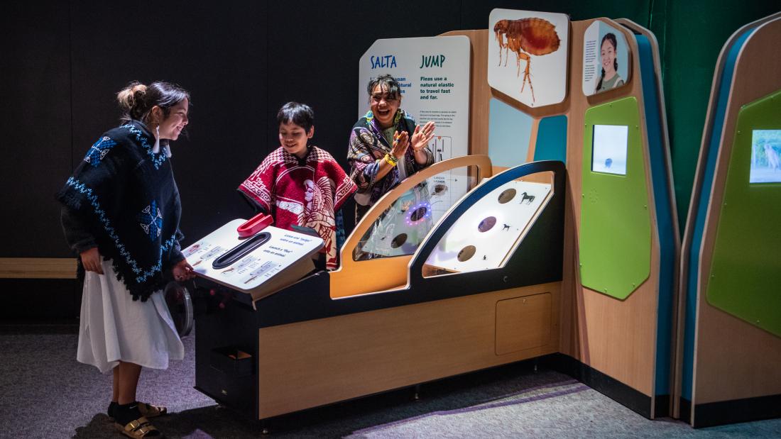 A woman smiles and is cheered on by two other women as she interacts with an exhibit