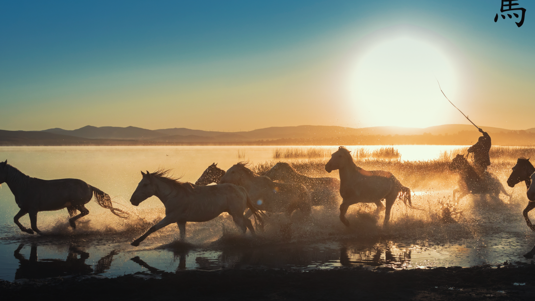 A group of horses galloping through the coast during sunset.