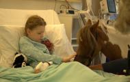 A young patient in a hospital pets a small horse. 