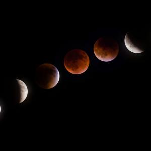 Lunar Eclipse