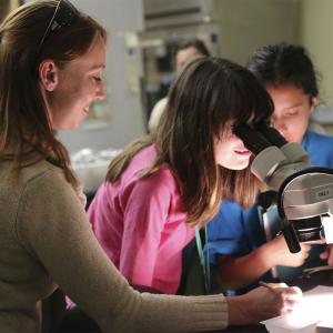 Female teacher helping a girl look through a microscope