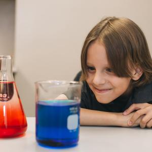 A young boy leans on a table and grins while looking at a beakers with red and blue liquid