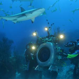Two divers with a large diving object with lights look up at a shark swimming overhead