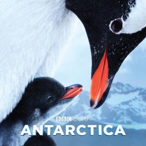 An adult penguin leans down towards a young penguin who is tucked between their feet. Snowy mountains are in the background. The film title 'Antarctica' is written across the bottom of the image in white.
