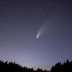 a comet in the dusk sky over a dark tree line