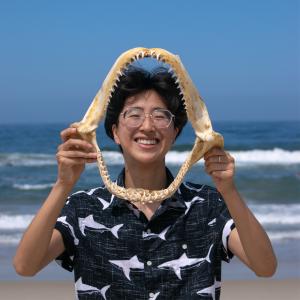 A person whose pronouns are They/Them stands holding an open shark skeleton jaw in front of themselves. Their face is framed in the jaw. They are at the beach with the ocean behind them. They are wearing a blue short sleeved button up shirt with a white shark pattern.