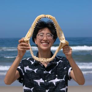 A person whose pronouns are They/Them stands holding an open shark skeleton jaw in front of themselves. Their face is framed in the jaw. They are at the beach with the ocean behind them. They are wearing a blue short sleeved button up shirt with a white shark pattern.