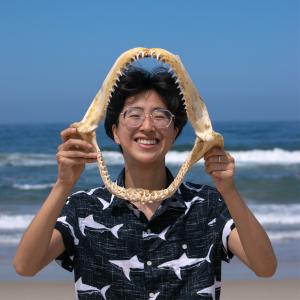 A person whose pronouns are They/Them stands holding an open shark skeleton jaw in front of themselves. Their face is framed in the jaw. They are at the beach with the ocean behind them. They are wearing a blue short sleeved button up shirt with a white shark pattern. 