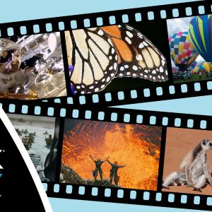 Film featuring stills of nature and science films