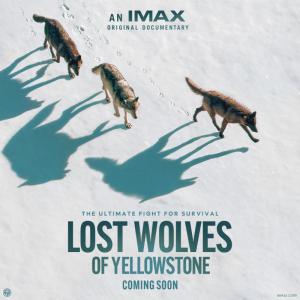 Three wolves walking on ice and Lost Wolves lettering on right side.